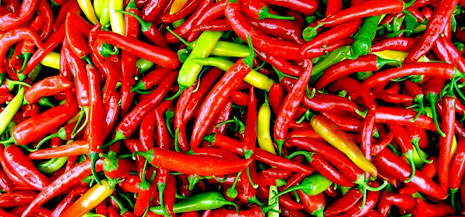 Тампере приглашает любителей острой пищи на фестиваль «Chilifest»